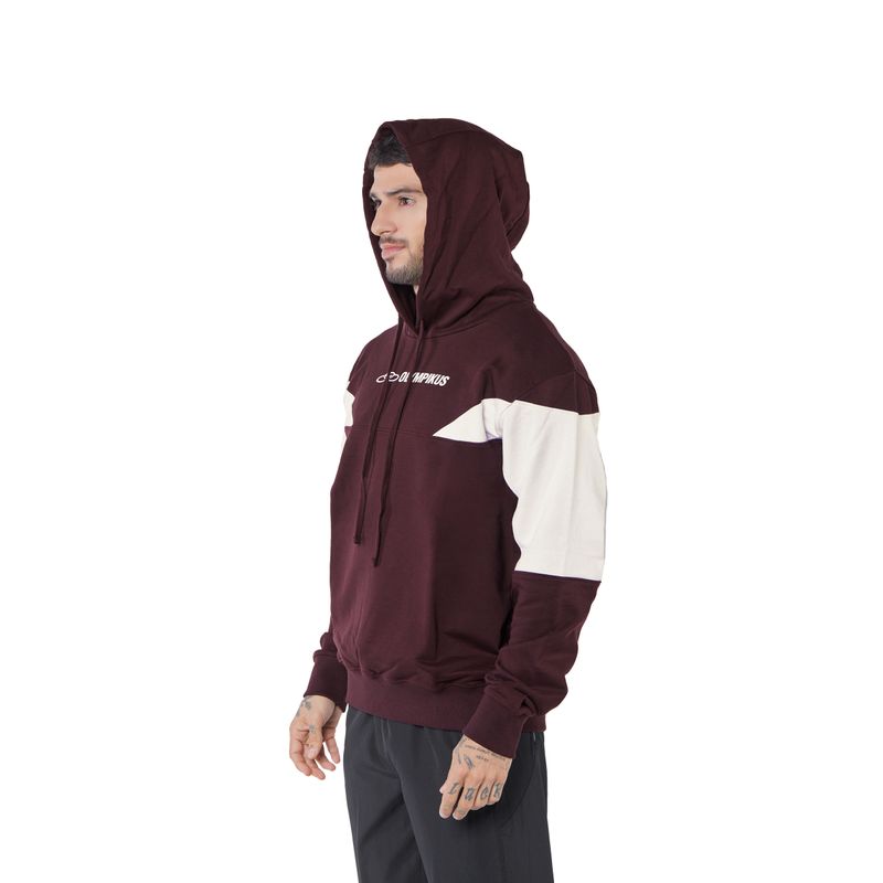 POLERA-NORBERT-MASC-855_BORDO_4
