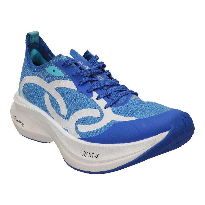 _CORREGRAFENO3-330_ROYAL_1